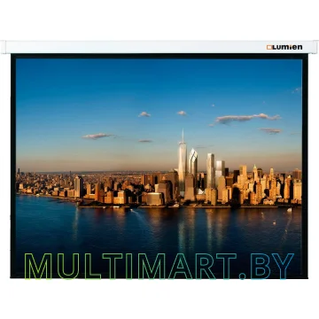 Проекционный экран Lumien Master Picture 206x274 (LMP-100111)